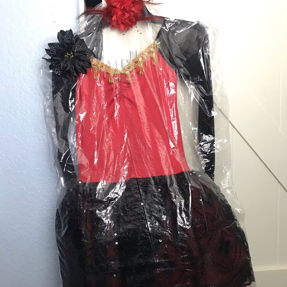 Stage Boutique Adult small Ballerina costume